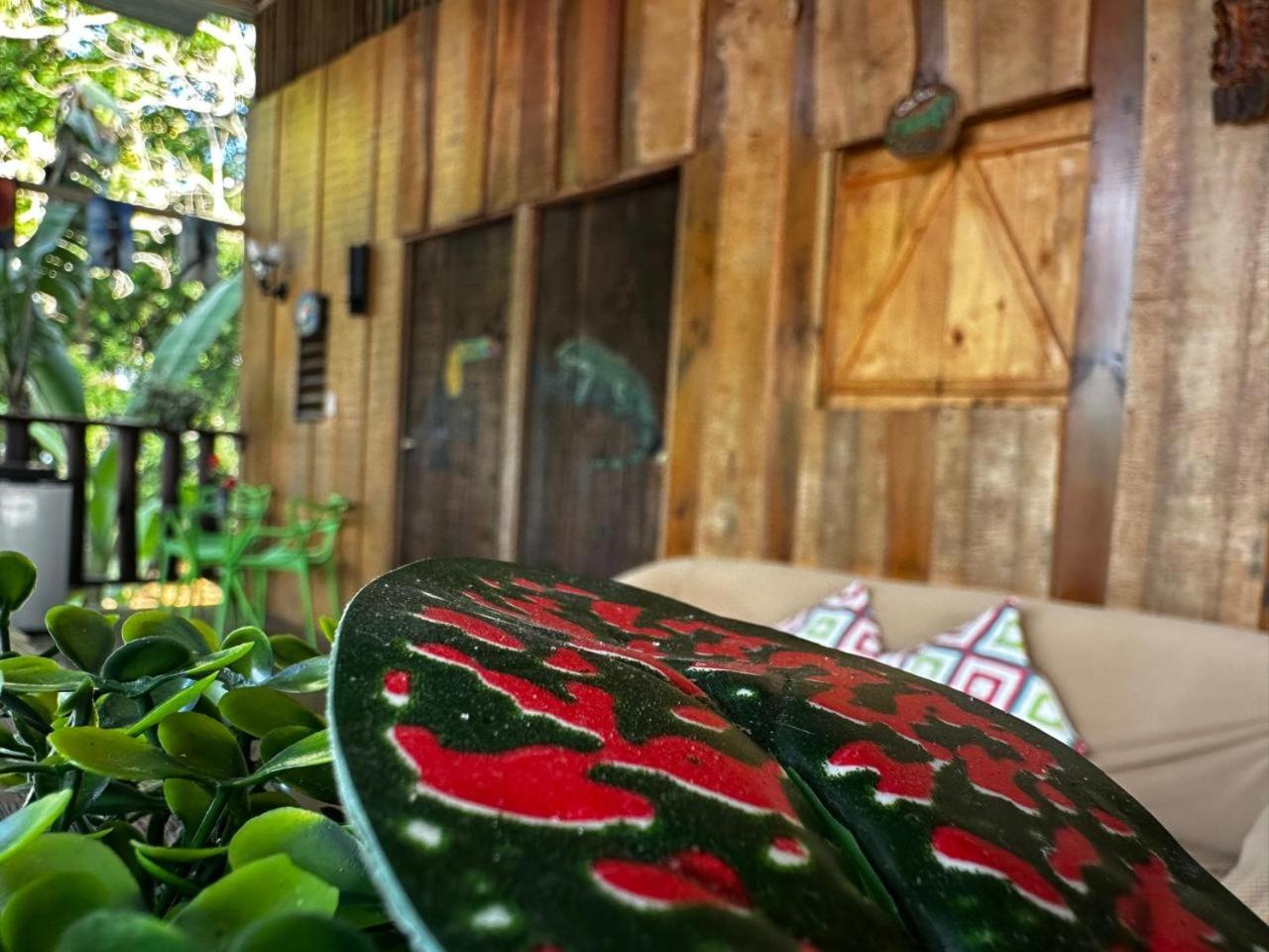 Hostel Rustico Marabi ตาร์กอเลส ภายนอก รูปภาพ